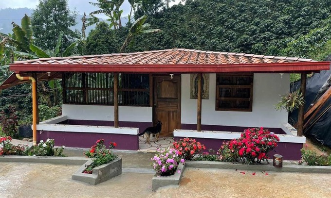 Jardin Casa | Finca de Café La Guadalupe, Casa de Campo Jardín