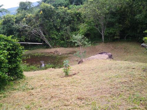 Guaduas Otro | Finca el Okaso