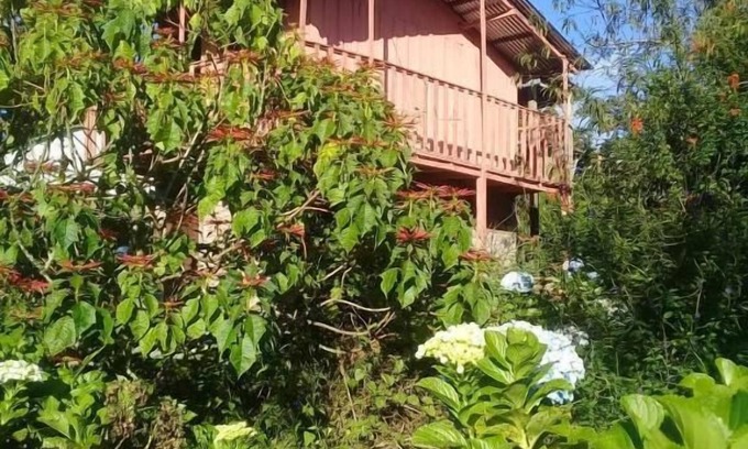 Puertas Azules Otro | Finca Fuente De Vida