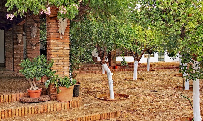 Hornachuelos Casa | " Finca La Fuensanta "