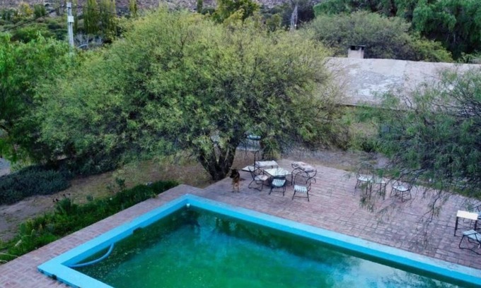 Cachi Otro | Finca La Paya