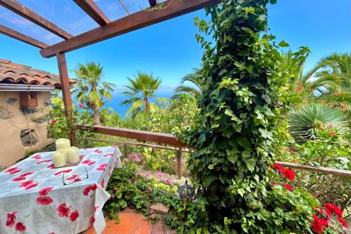 Icod de los Vinos Apartamento | Finca Tenerife - Cozy Studio mit Traumblick & tropischem Garten