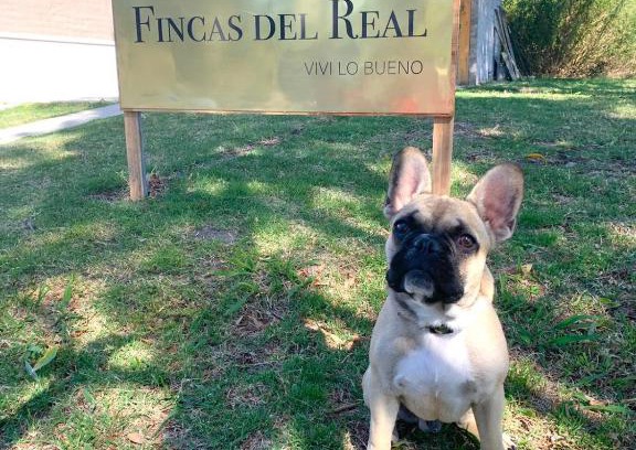 Real de San Carlos Casa | Fincas del Real