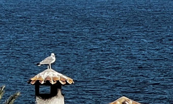 Santa Pola Casa | Primera línea de mar