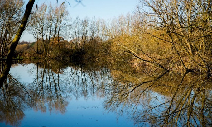 Dilton Marsh Apartamento | Fishing Break - Woodland Hut - Goldcrest
