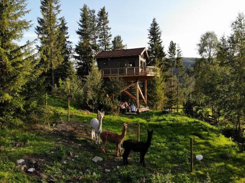 Al Casa | Fjellgla tretopphytte