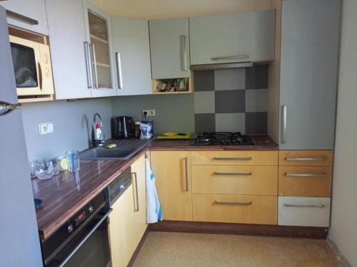 Breclav Apartamento | Flat Břeclav City Center