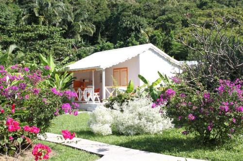 Deshaies Casa | Fleurs des Iles
