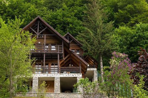 Sinaia Casa | Florile Bucegilor