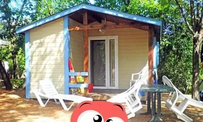 Anduze Chalet De Esquí | Camping Les Fauvettes *** - Chalet Abeille 2 habitaciones 4 personas