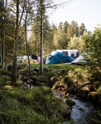 Granges-Aumontzey Otro | Flower Camping La Sténiole