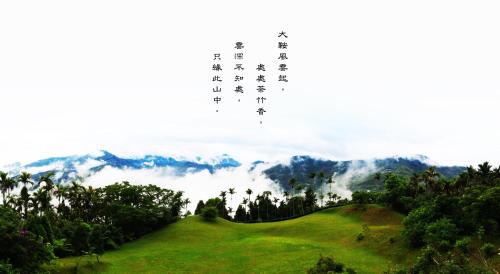 Zhushan Cabina | Foggy Wonderland