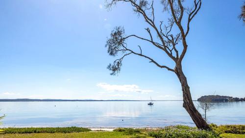 Salamander Bay Casa | Foreshore Delight