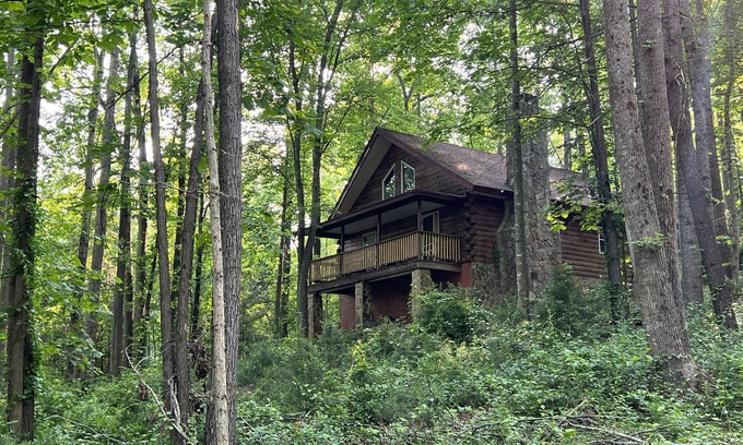Traphill Cabina | Forest Cabin Moments from Stone Mountain
