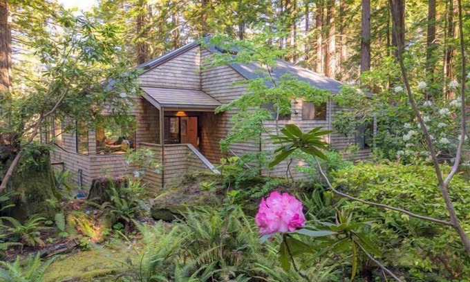 Sea Ranch Casa | Forest House: 2 BR, 3 BA House in The Sea Ranch, Sleeps 4