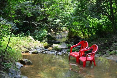 Seorak Casa | Forest Squirrel Pension