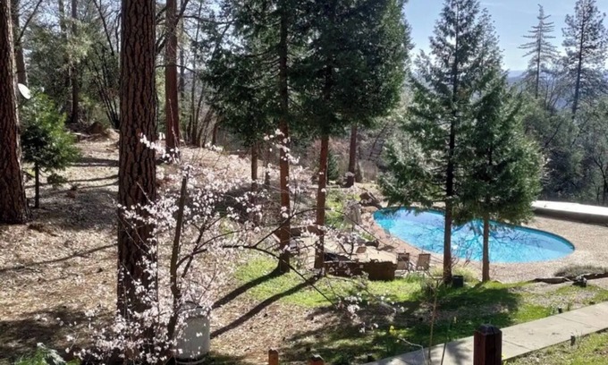 Cedar Ridge Apartamento | Forest Studio with Pool & Mountain View’s