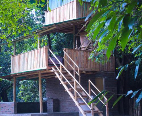 Buttala Casa | Forest Tree Top Holiday Resort