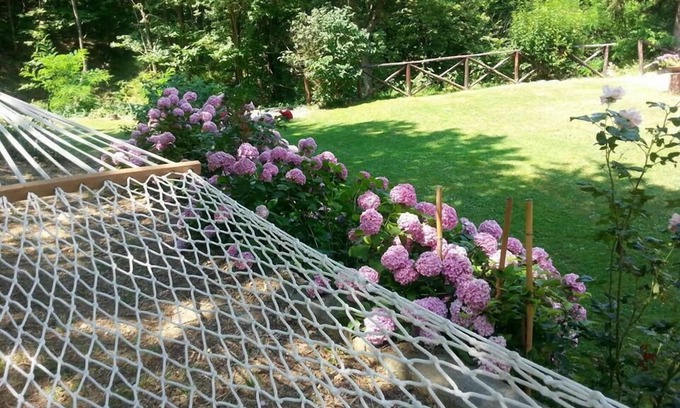 Gavi Cama Y Desayuno | Forest View B&B