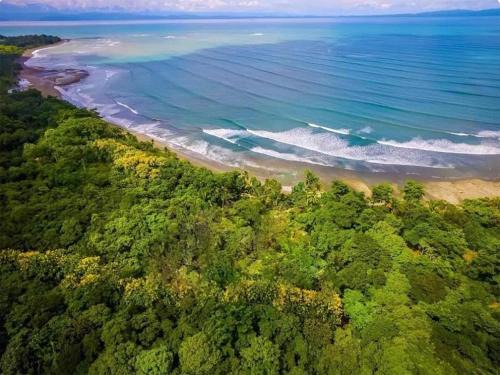 Puerto Jimenez Casa | Four Monkeys Eco Lodge Jungle & Beach - The House