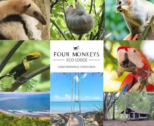 Puerto Jimenez Cabina | Four Monkeys Eco Lodge - Jungle & Beach