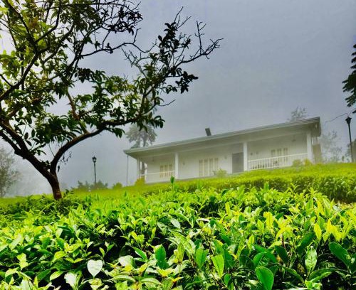 Pirmed Casa | Four Winds Plantation Homestay Approved by Dept of Tourism Govt of Kerala
