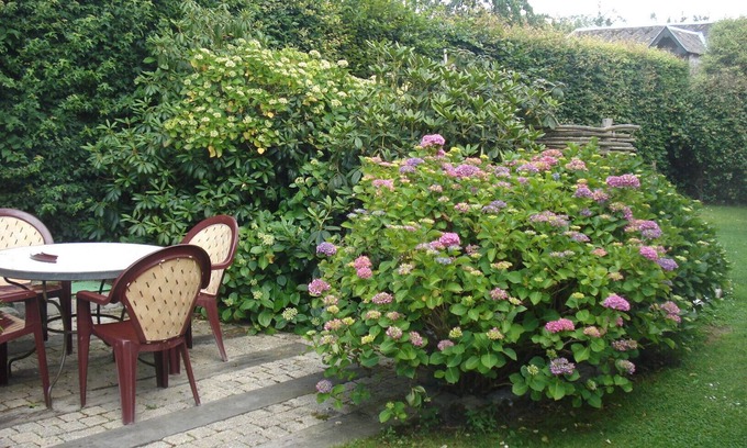 Saint-Sylvestre-de-Cormeilles Cama Y Desayuno | Maya, independent guest studio with kitchenette