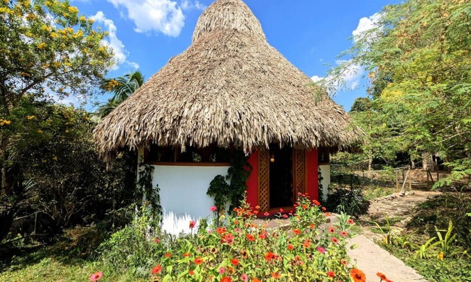San Ignacio Otro | Framadani estate - Jungle luxury