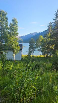 Kvfjord Cabina | Fredbo