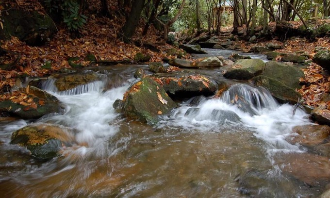 Robbinsville Cabina | Free Local Estate Tours + Peaceful Cabin + Hot Tub Overlooks Creek
