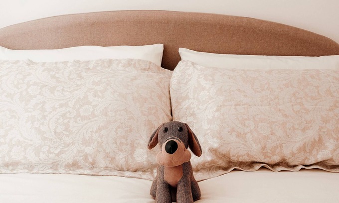 Terni Apartamento | (free WI-FI, PARKING, SMART TV, AIR-CONDITIONING)