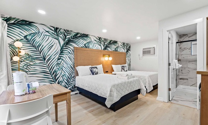 Ash Apartamento | Updated Studio|Sleep4|Linens Provided|Free Parking