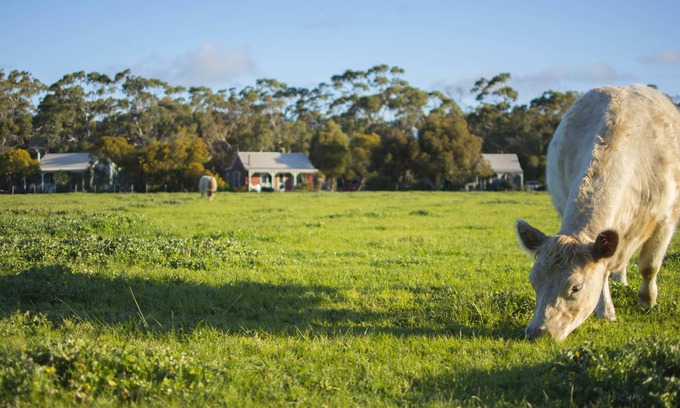 Freshwater Creek Cabaña | Freshwater Creek Cottages and Farm Stay