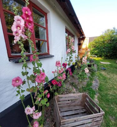 Listarum Casa | Fridfullt sommarhus mitt på Österlen