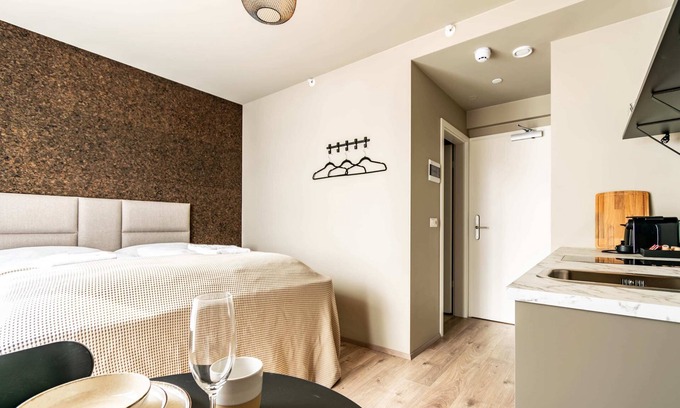 Hliðar Apartamento | Frost Apartments - Standard Studio