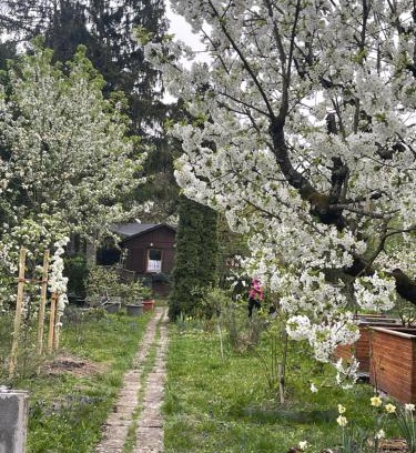 Im Geiger Otro | Fußball-Hochburg! Gartenparadies für Campen/Zelten