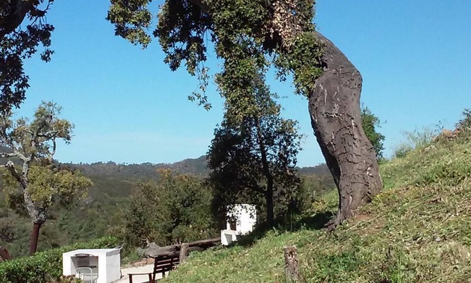 Sao Bras de Alportel Cabaña | Casa de campo totalmente independiente en su propio terreno con piscina climatizada muy privada