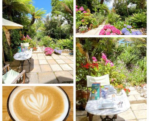 Roath Cama Y Desayuno | Funky Urban Jungle