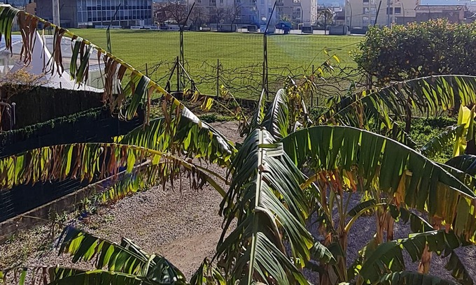 La Valette-du-Var Apartamento | Furnished T6 apartment