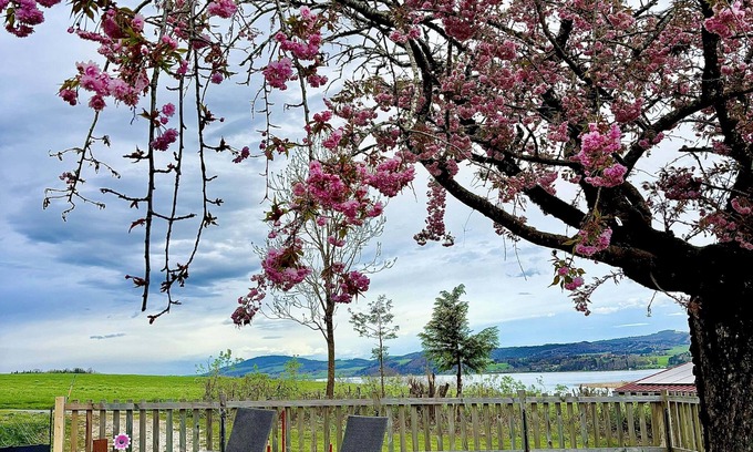 Seekirchen Markt Apartamento | Gästehaus "seeblick" Helle Gartenwohnung