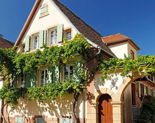 Rhodt unter Rietburg Casa | Gästehaus Zum Weinbauer