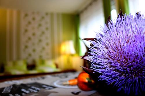 Sud Apartamento | Gästewohnung Mönchengladbach