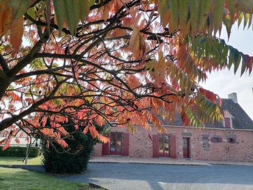 Moitron-sur-Sarthe Casa | Gîte en campagne rénové avec cheminée, grands jardins, WiFi, près d'un village médiéval. - FR-1-410-334