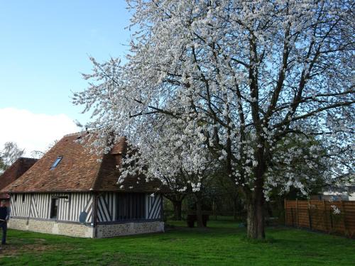 Coudray-Rabut Casa | Gîte Falafa Normand