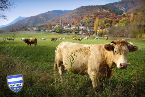 Bayons Apartamento | GÎTE LA TANIÈRE DES ALPES