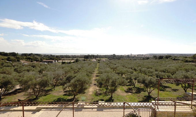 Mireval Casa | Gîte Lavande - Les Terrasses de l'Oliveraie