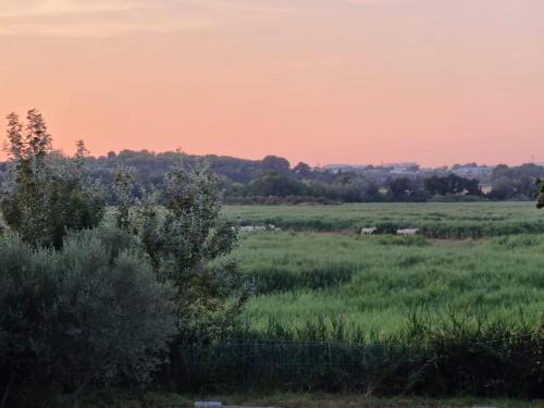 Villeneuve-les-Maguelone Apartamento | Gîtes de l'Estagnol