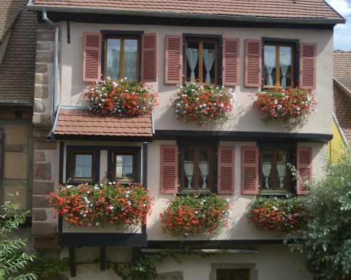 Kaysersberg-Vignoble Casa | Gîtes Du Stekala