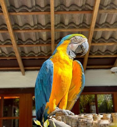 Teresopolis Casa | Gaia Hotelaria