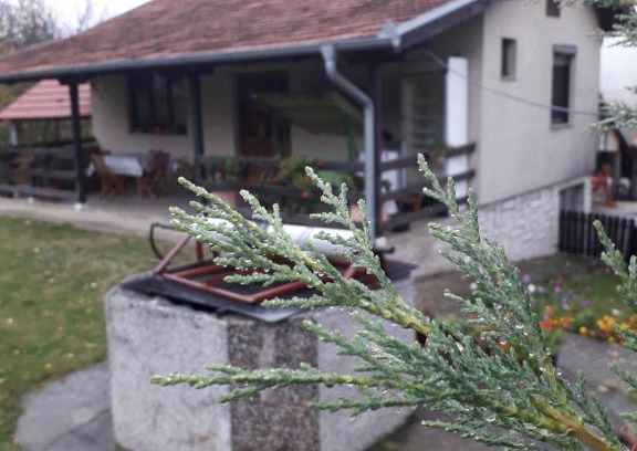 Lipovac Apartamento | Galerija Jovanović